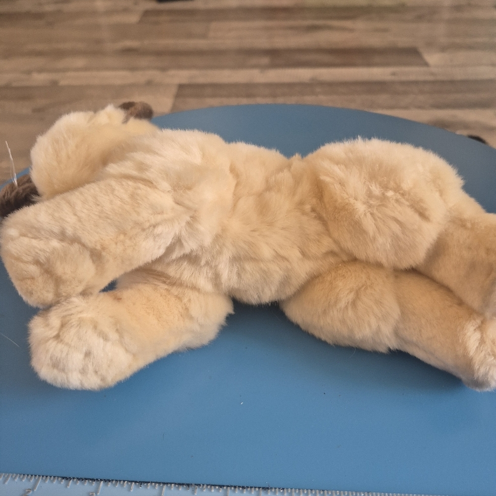 Animal Alley Cat Plush Stuffed Animal Cat Lovers - Picture 5 of 7